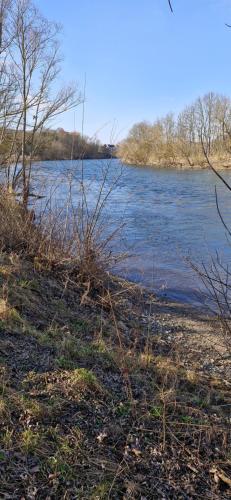 a view of a river with trees and water at Ferienwohnung Halle/Lettin in Halle an der Saale