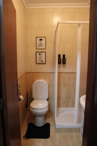 a small bathroom with a toilet and a shower at Carmo guestroom in Tabuaço