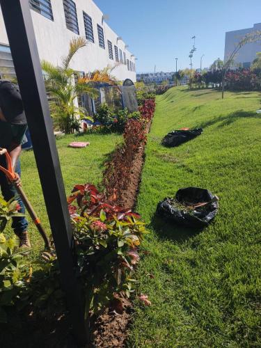 Κήπος έξω από το Casa Monstera Bahia