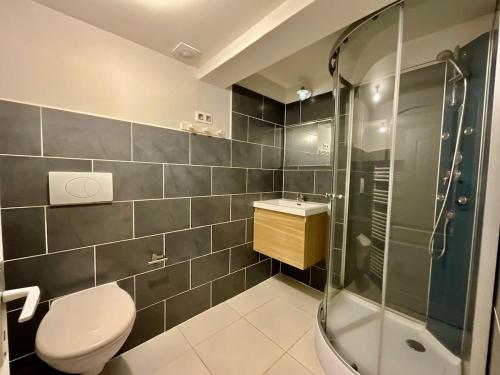 une salle de bain avec une douche, des toilettes et un lavabo dans l'établissement La Roche du Rain, bel appartement & centre-ville, à Gérardmer