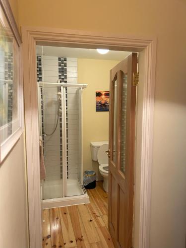 a bathroom with a shower and a toilet at 5 Bank House in Schull