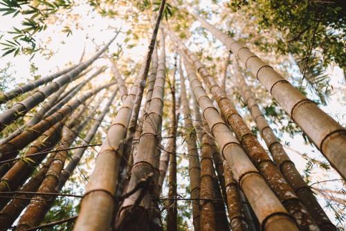 Un paisaje natural cerca del camping