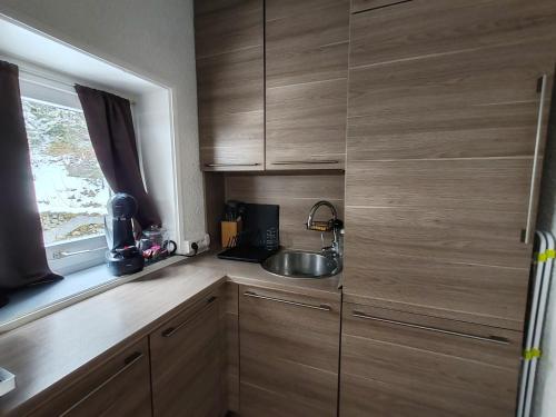 une cuisine avec des armoires en bois et un évier dans l'établissement Studio Cosy pour 4 personnes en RDC, à Villard-de-Lans