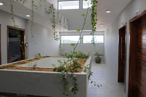 Fotografie z fotogalerie ubytování Ocean Bliss Penthouse - Private Pool & 2 Min to Beach v destinaci Flic-en-Flac
