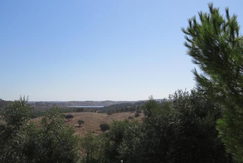 Φυσικό τοπίο κοντά σε αυτό το κάμπινγκ