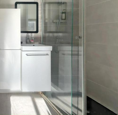 une salle de bain avec une douche en verre et un lavabo dans l'établissement Studio moderne à Aix-en-Provence - 20 m² avec terrasse !, à Aix-en-Provence