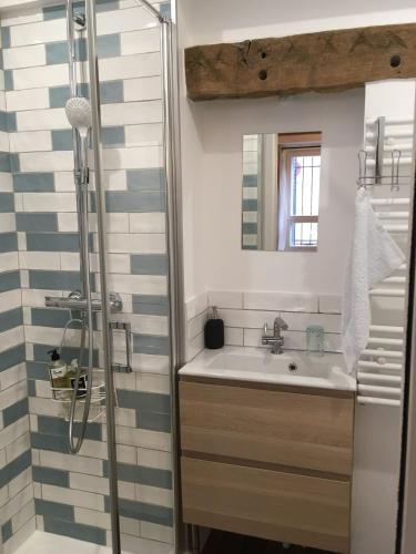 une salle de bain avec un lavabo et une douche dans l'établissement Charming studio, à Issy-les-Moulineaux