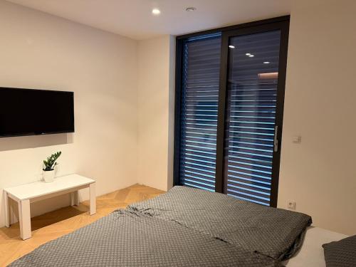 a bedroom with a bed and a tv and a window at Smart & Wellness Villa in Ptuj
