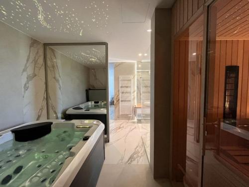 a bathroom with a bath tub in a room at Smart & Wellness Villa in Ptuj