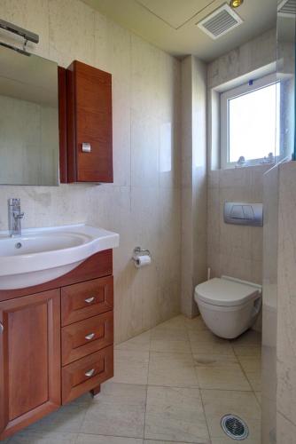 a bathroom with a sink and a toilet and a window at Constantin in Dhémbla