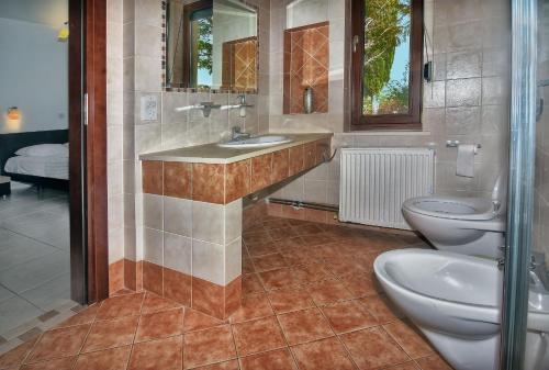 a bathroom with two toilets and a sink and mirror at Villa Margarita in Polis Chrysochous