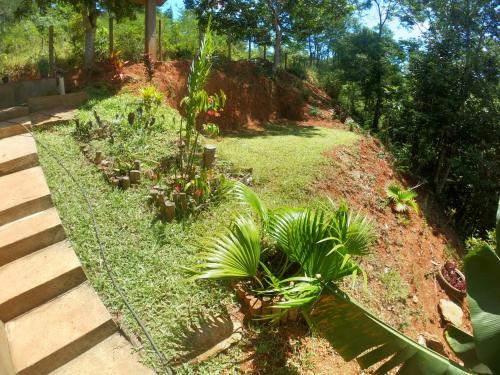 a garden with some plants in a yard at Chalé Biribó in Conceição do Mato Dentro