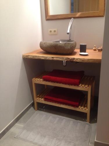 a bathroom with a sink and red towels on a shelf at La Grange de Fanie in Odeigne