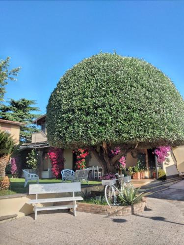 a bench in front of a building with a large bush at Appartamento VILLA ADRY in Rome