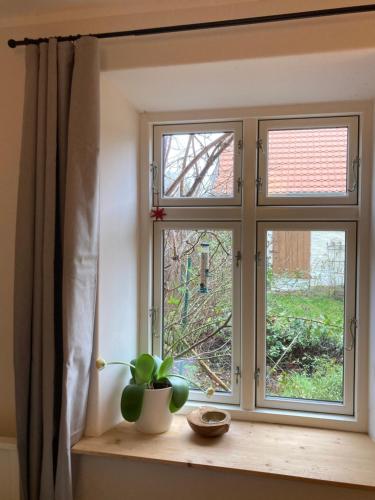 Φωτογραφία από το άλμπουμ του Gemütliche, kleine Ferienwohnung im Küstenland σε Lentschow