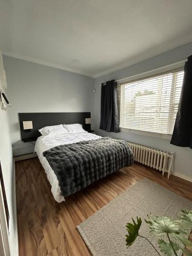 a bedroom with a large bed and a window at Cosy Quinpool Rd - 2 Bedroom Apartment in Halifax