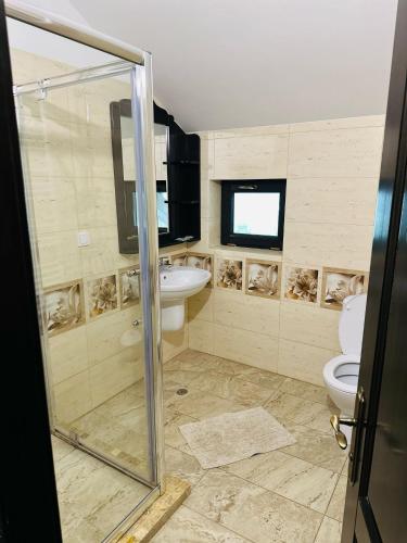 a bathroom with a shower and a sink and a toilet at Casa Valea Cernei in Isverna