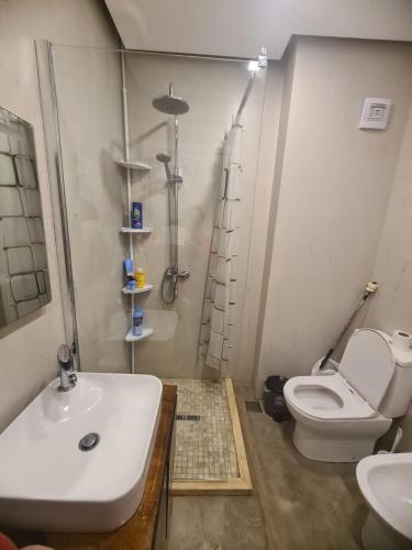 ゴーレムにあるSiera apartmentの洗面台とトイレのある浴室