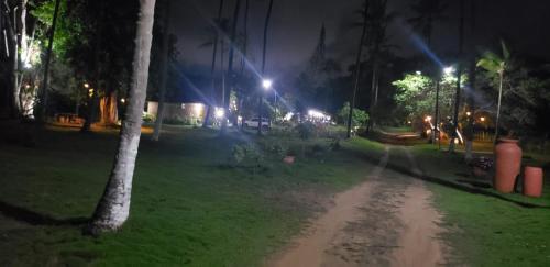a dirt road in a park at night at FAZENDA BOSQUE DAs PALMEIRAS in Itamaracá