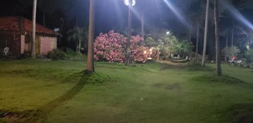 a yard at night with a house and pink flowers at FAZENDA BOSQUE DAs PALMEIRAS in Itamaracá