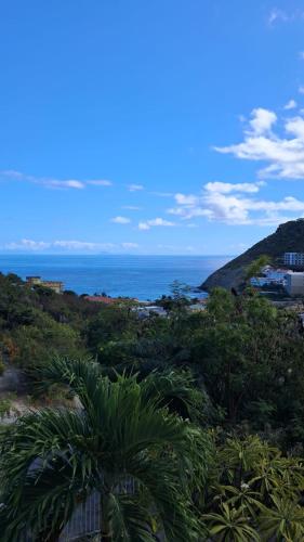 Un paisaje natural cerca del departamento