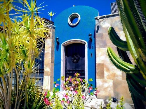 Zahrada ubytování Muma Residence in Chapala