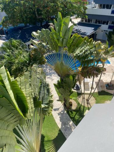 an overhead view of palm trees in a park at New Garden Hotel in Sosúa