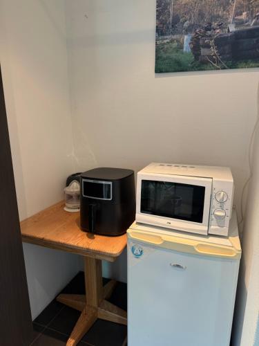 a microwave oven sitting on top of a refrigerator at Bij Flora in Beekbergen