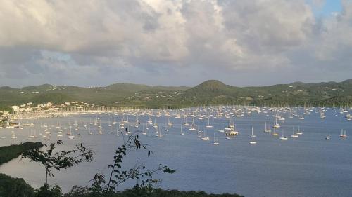 a large group of boats in a large body of water at Studio du PARADIS in Le Marin