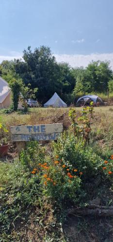 Φωτογραφία από το άλμπουμ του Koppány Pines Rewild Escapes - Wild Bell Tents σε Koppányszántó