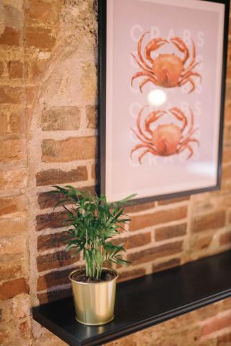 a plant sitting on a shelf next to a picture of crabs at Le Refuge d'Alfred, centre Pont-Audemer in Pont-Audemer