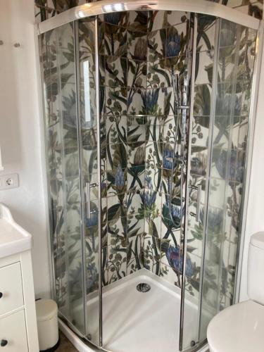 a shower with a glass enclosure in a bathroom at Bodega Linda in Puntagorda