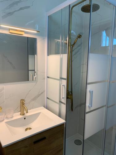 une salle de bain avec un lavabo et une douche en verre dans l'établissement Studio vue mer grande terrasse, à La Grande Motte