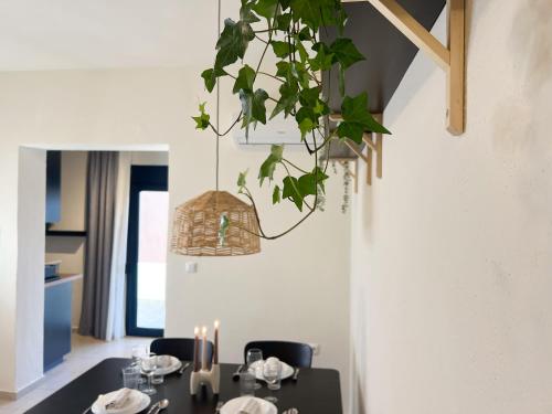 Spacious, Near Beach & Easy Parking - by Solstad