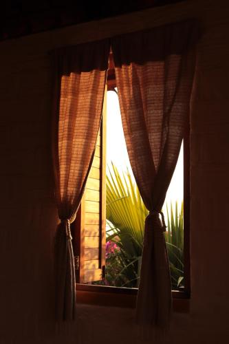 a window with curtains in a room with a plant at LA LOMA LINDA, Bungalows, Yoga and Feldenkrais, STARLINK INTERNET in Zipolite
