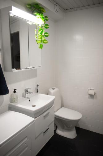 baño con lavabo, aseo y planta en Old Town - 2 bedrooms with sauna, en Kokkola