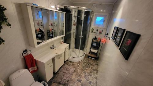 a bathroom with a shower and a sink and a toilet at Rifi Senja House in Senja