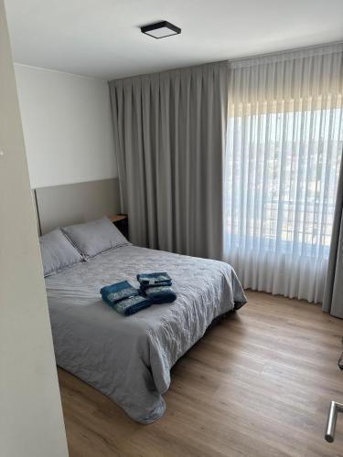 ein Schlafzimmer mit einem Bett mit zwei Handtüchern darauf in der Unterkunft Departamento de 1 dormítorio más sofá cama en living in Marcos Juárez