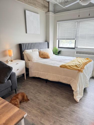 a bedroom with a bed and a dog laying on the floor at Horizon Hideaway in Mobile