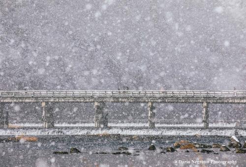 a snow covered bridge in the middle of a park at Mulan Hostel in Kyoto