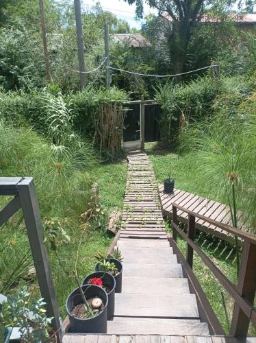a wooden walkway in a garden with potted plants at A LO DE MARY cabañas Isla Tigre in Tigre