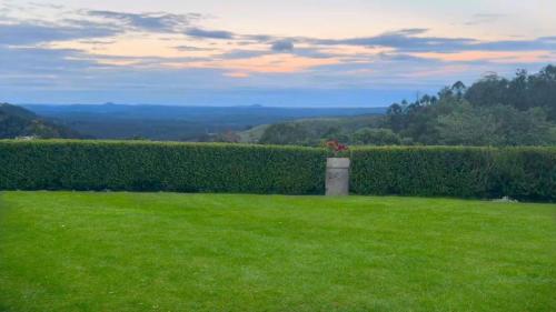 a field of grass with a vase with a flower in it at Maleny Views Motel in Maleny