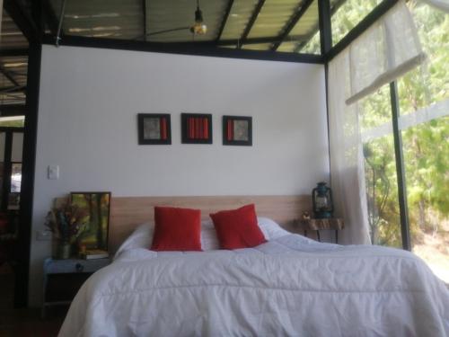 Billede fra billedgalleriet på Casa Entre Pinos susa i Susa