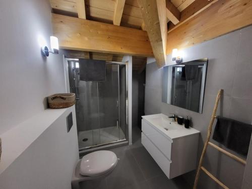 une salle de bain avec une douche, des toilettes et un lavabo dans l'établissement Appartement à Montgenèvre avec Parking et WiFi - FR-1-266-248, à Montgenèvre