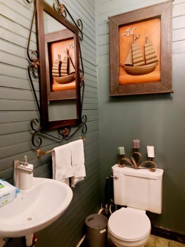 a bathroom with a toilet and a sink and a mirror at The Nomad Hostel in Alajuela City