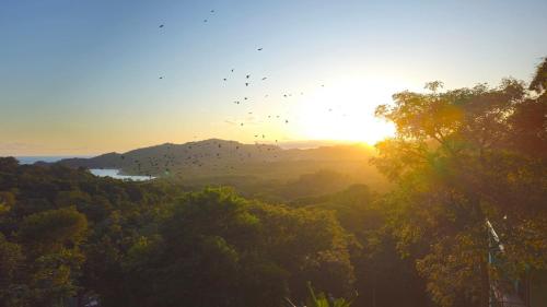a flock of birds flying over a forest at sunset at Susanne's Bungalow de Casa Felicidad in Paquera