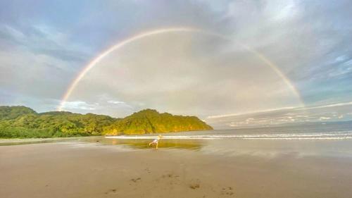 a rainbow over a beach with a person on the sand at Susanne's Bungalow de Casa Felicidad in Paquera