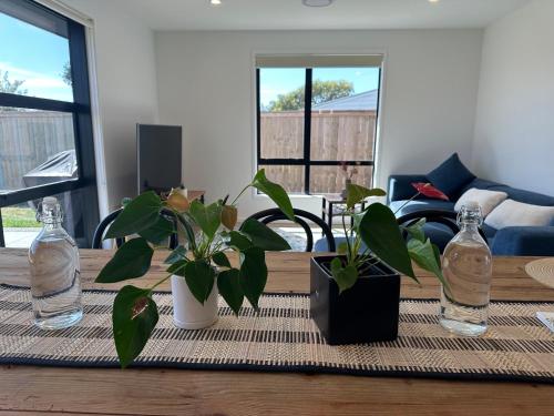 a living room with a table with bottles and plants at Family home, Game Zone & Outdoor Fireplace- Sleeps 10 in New Plymouth