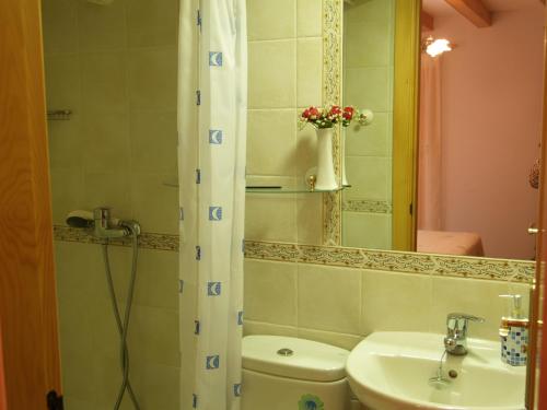 a bathroom with a sink and a toilet and a mirror at Casa Javier in Rodellar