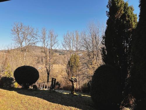 a garden with trees and a fence in a field at Ferienwohnung Daun in Daun